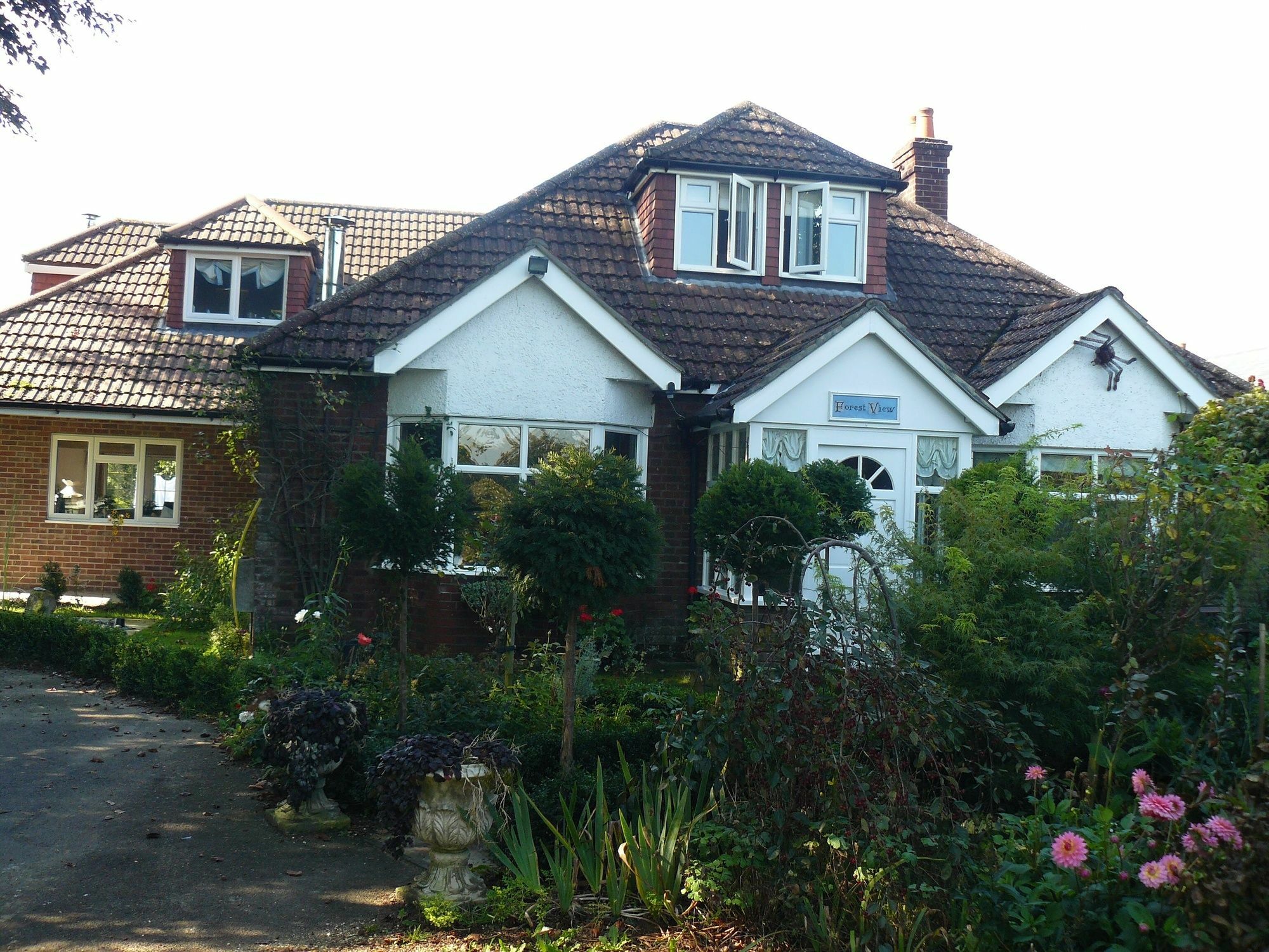 Forest View B&B Landford Exterior photo